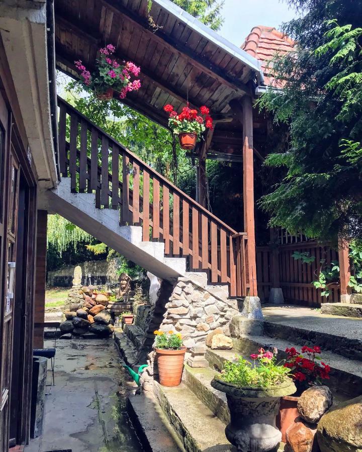 Dworek Adamski Валбжих Екстериор снимка